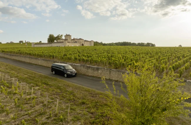 VL dans les vignes